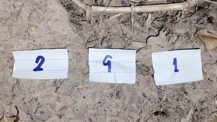 เลขพญาบึ้ง